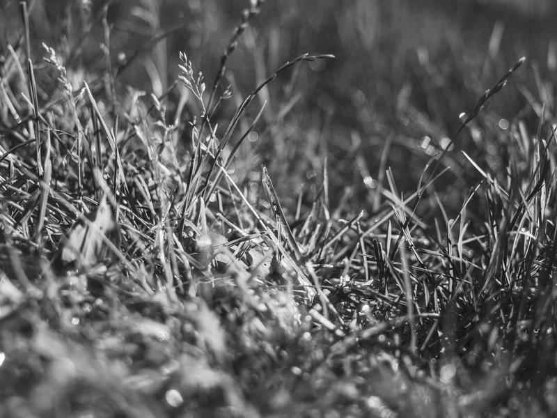 sudoku zen mode screenshot 2